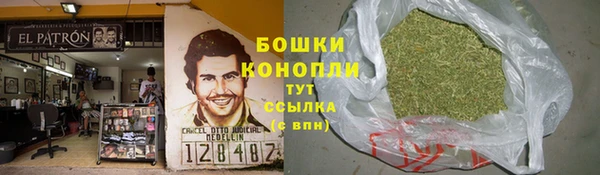крисы Нягань