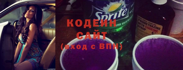 шишки Нязепетровск