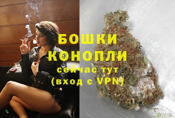 крисы Нягань