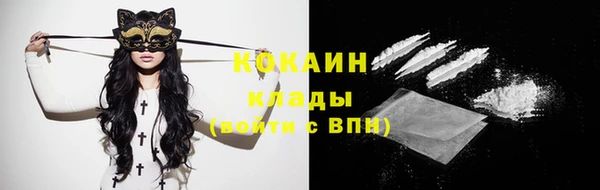 крисы Нягань