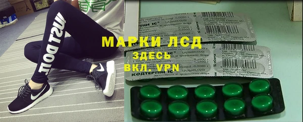 шишки Нязепетровск