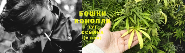 крисы Нягань
