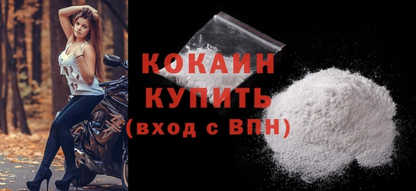 шишки Нязепетровск
