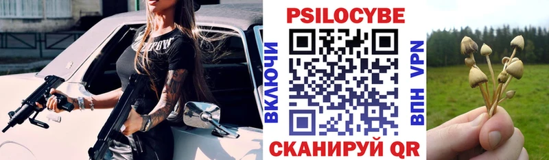 маркетплейс наркотические препараты  цена   Полтавская  Псилоцибиновые грибы Psilocybe 